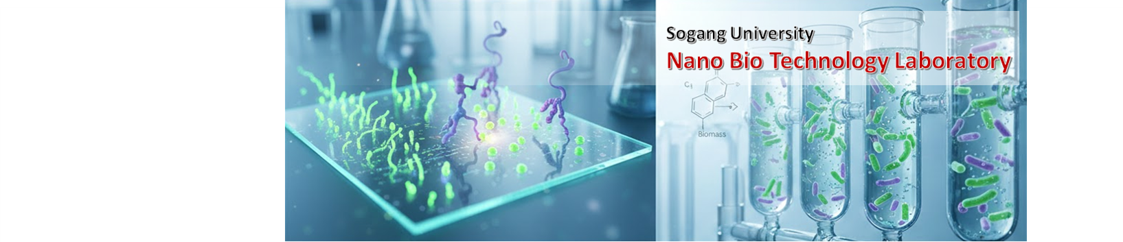 나노생명공학연구실 MAINVISUAL